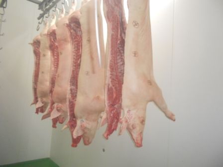 Kühlhaus Schweineschlachtung Buttenhauser