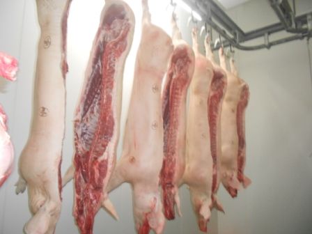 Schweineschlachtung Kühlhaus Buttenhauser